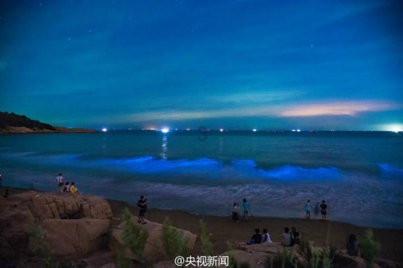 棋子的战争