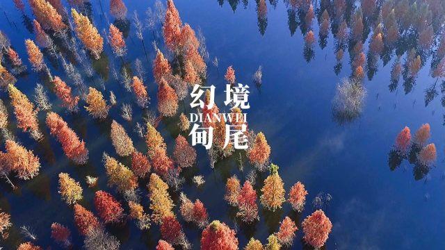优雅的咖啡店