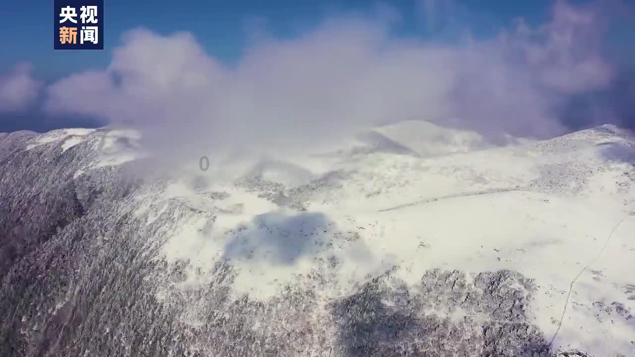 大大甜梨和什么放一起不爱坏