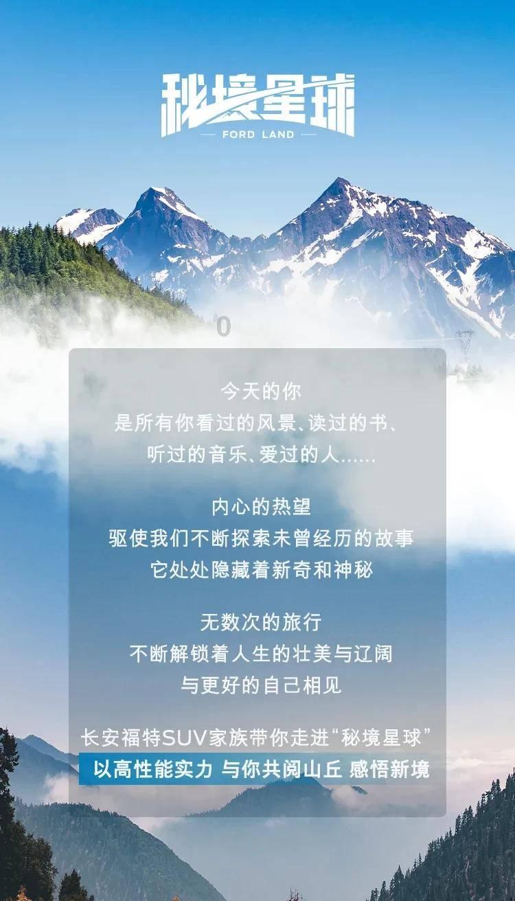 可爱的小考拉
