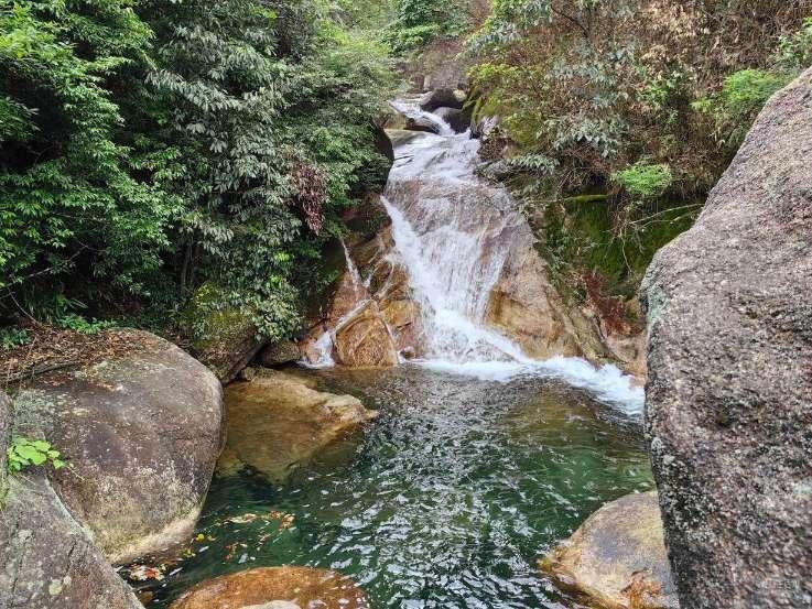 乡(镇)领导班子均配有女干部