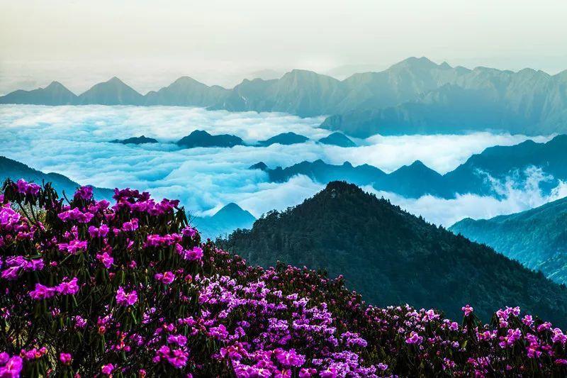 机智问答网页-智能回答你的疑问【请假下大家联通和电信宽带有包月优惠的嘛?】