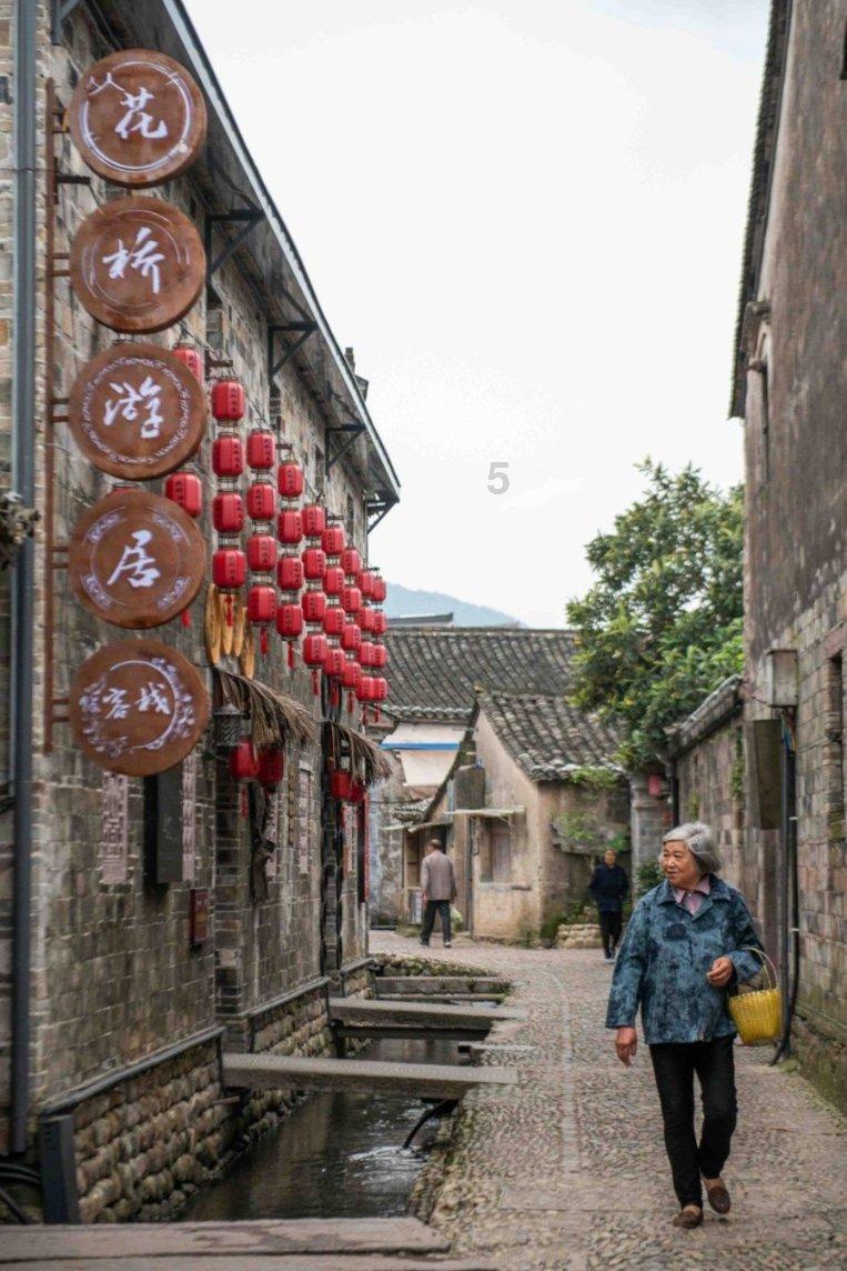 逃出蜜蜂岛