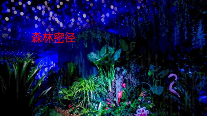 谷歌回应pixel6无法访问手机存储问题